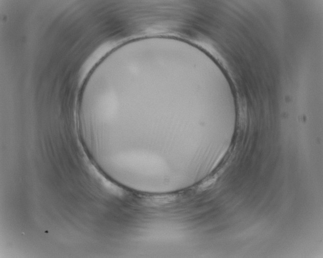 X0000075831294200610151510