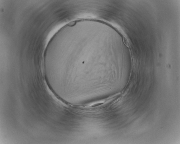 X0000075831295200610151510