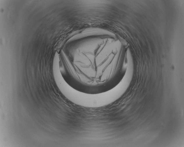 X0000075831298200610151510