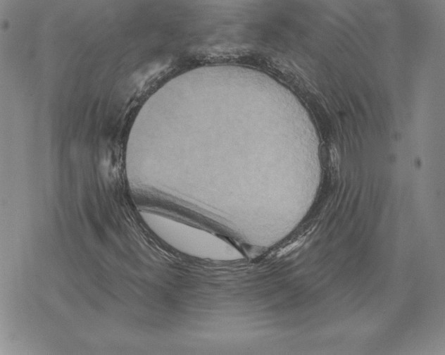 X0000075831300200610151510