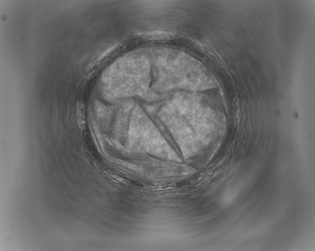 X0000075831301200610151510