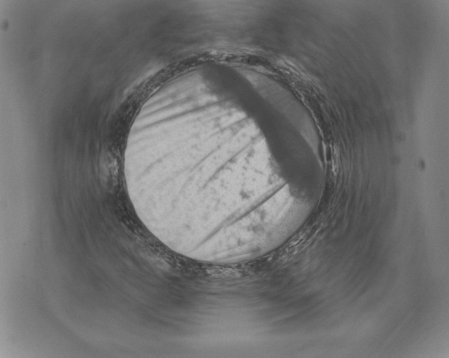 X0000075831302200610151510