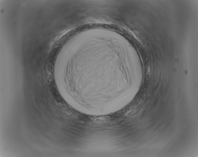 X0000075831303200610151510