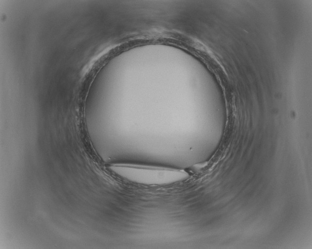 X0000075831304200610151510