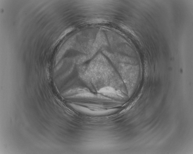 X0000075831305200610151510