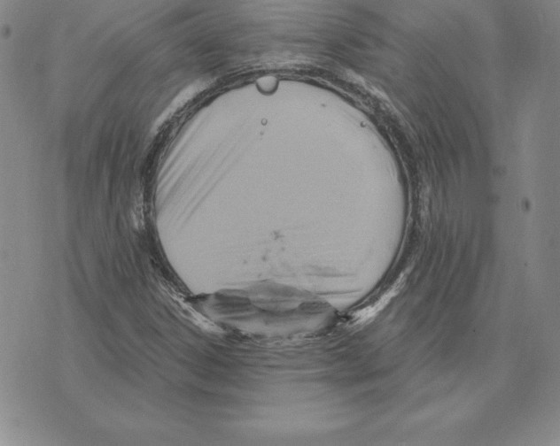 X0000075831306200610151510