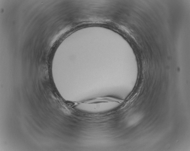 X0000075831307200610151510