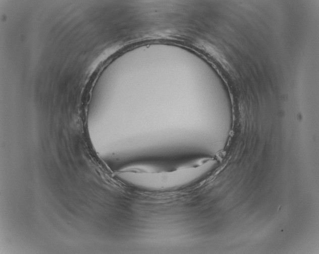 X0000075831308200610151510