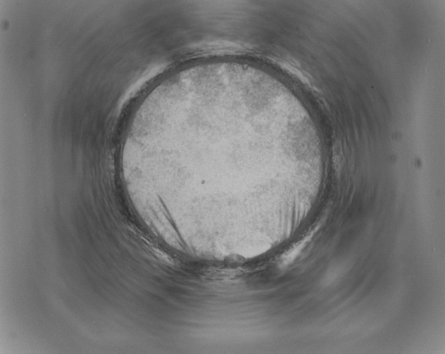 X0000075831309200610151510