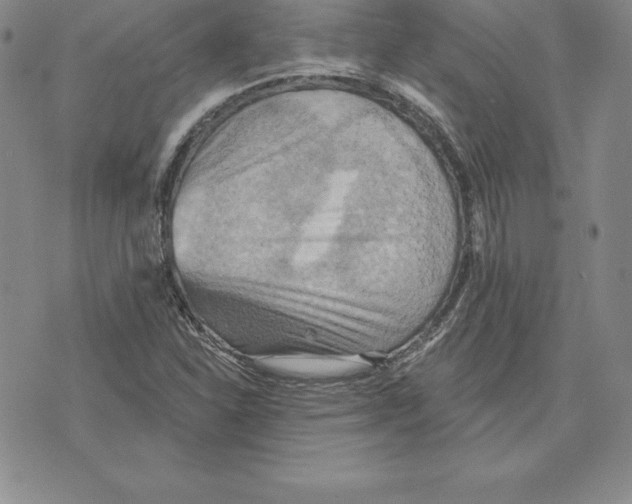 X0000075831310200610151510