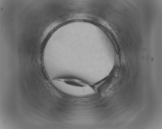 X0000075831312200610151510