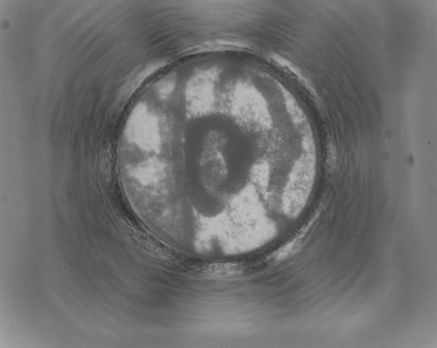 X0000075831313200610151510