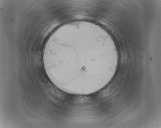 X0000075831314200610151510