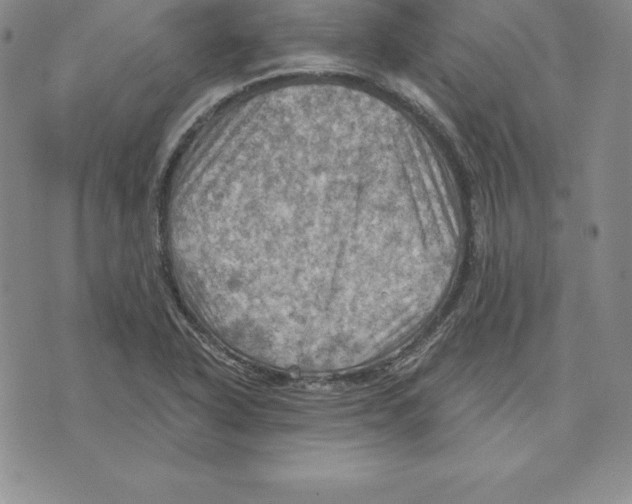 X0000075831318200610151510