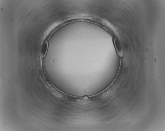 X0000075831320200610151510