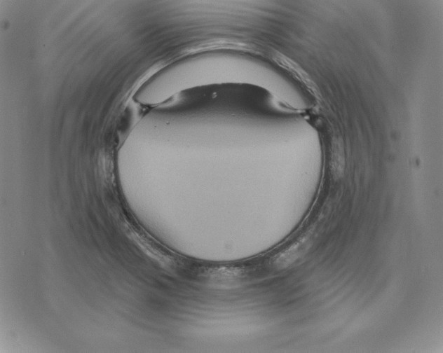 X0000075831321200610151510