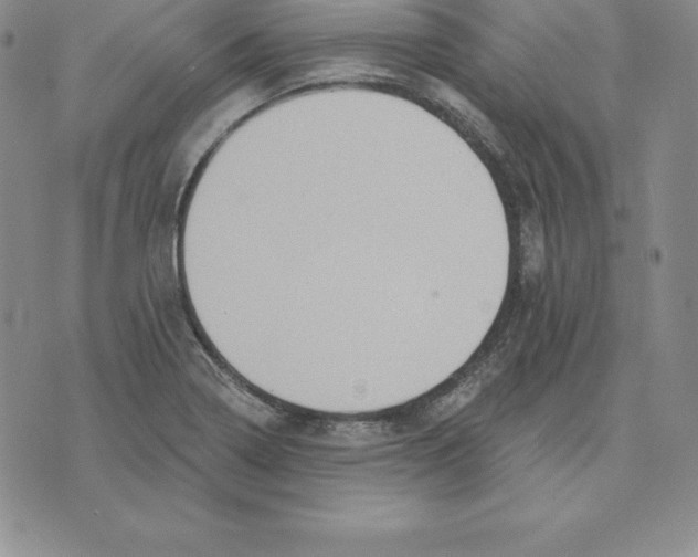 X0000075831322200610151510