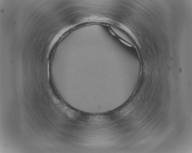 X0000075831323200610151510