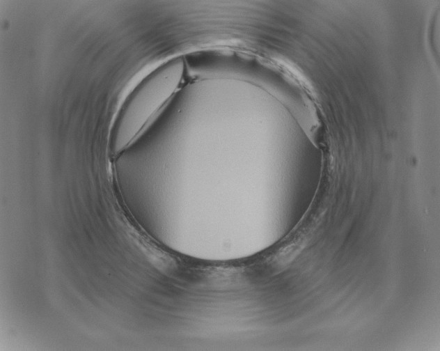 X0000075831324200610151510