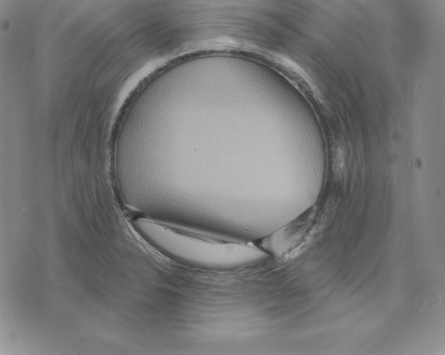 X0000075831326200610151510