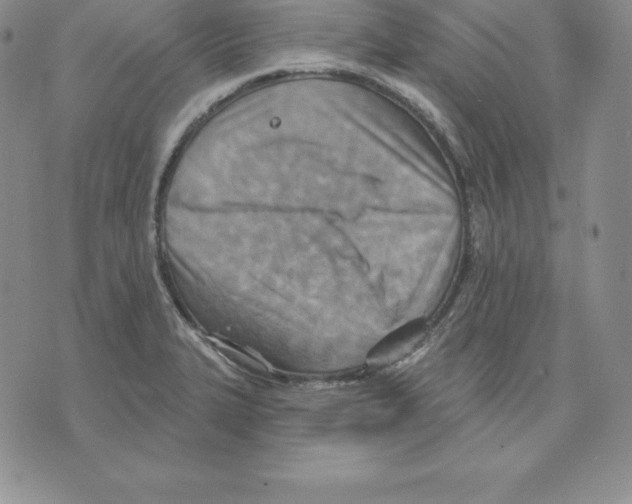 X0000075831327200610151510