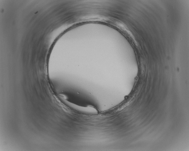 X0000075831328200610151510