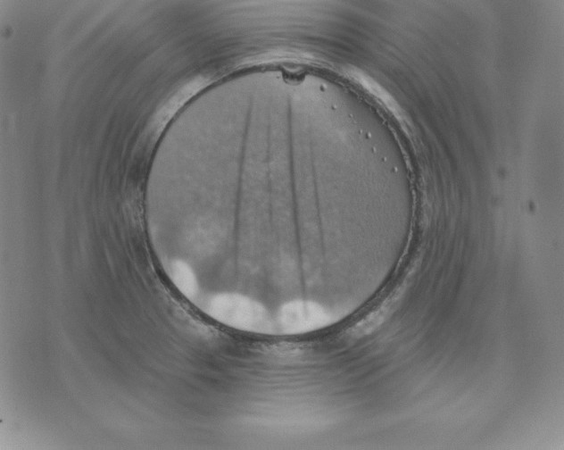 X0000075831329200610151510