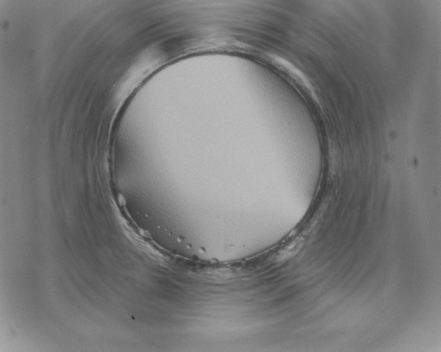 X0000075831330200610151510