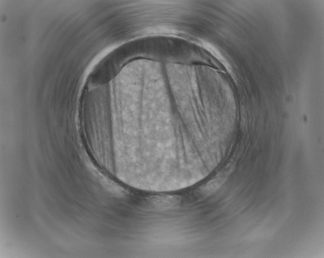 X0000075831331200610151510