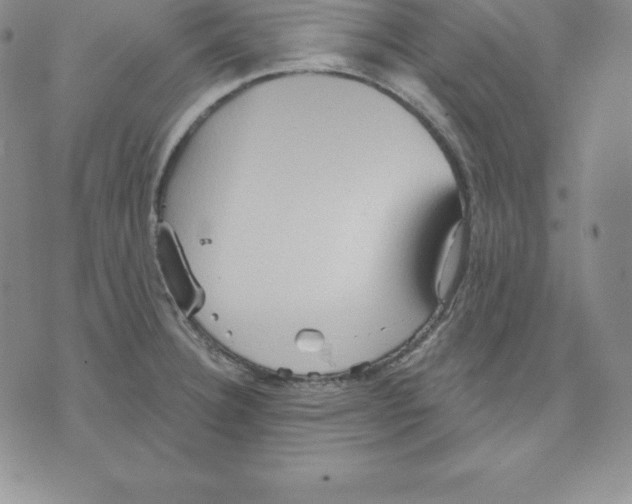 X0000075831332200610151510