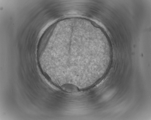 X0000075831333200610151510