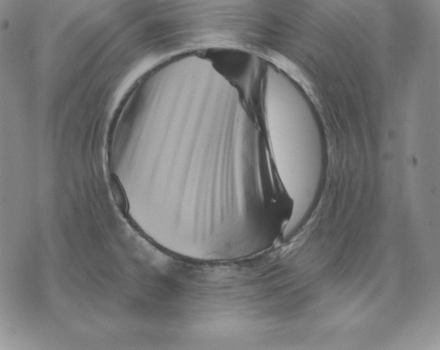 X0000075831334200610151510