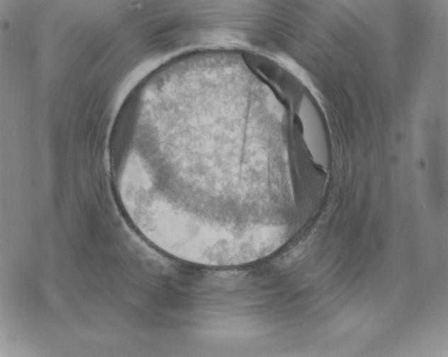 X0000075831335200610151510