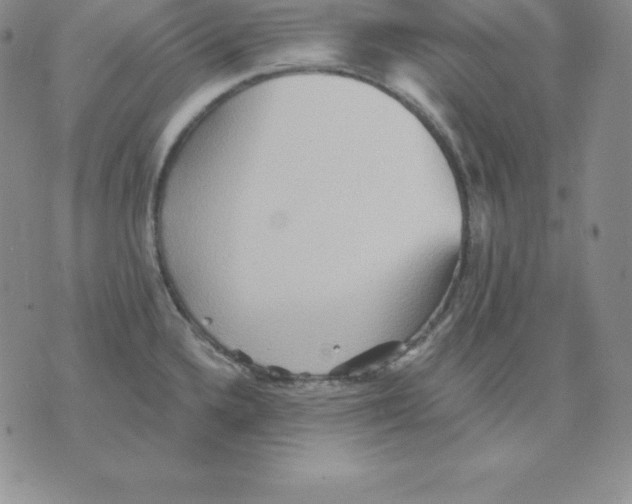 X0000075831336200610151510