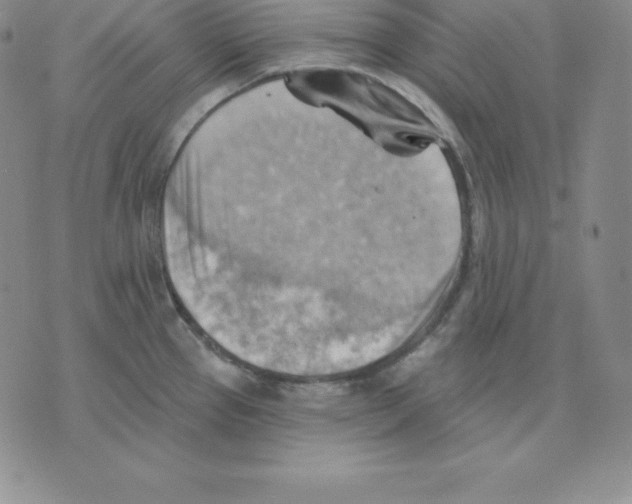 X0000075831337200610151510