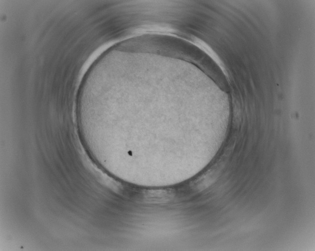 X0000075831339200610151510