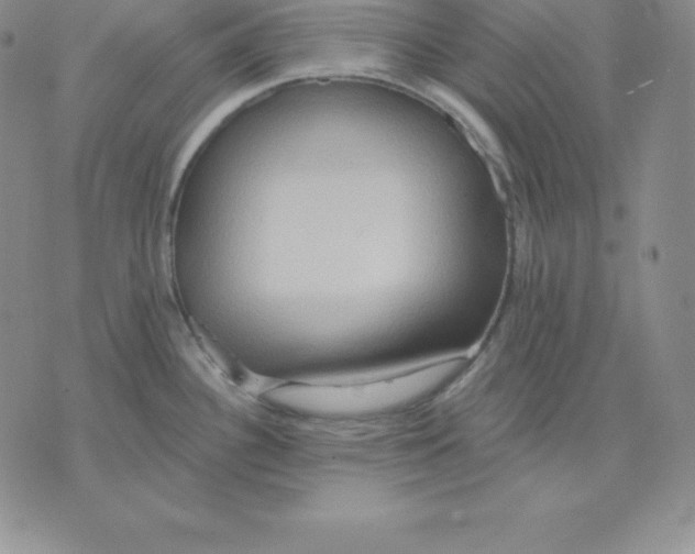 X0000075831340200610151510