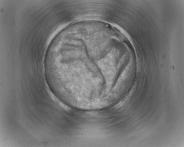 X0000075831341200610151510