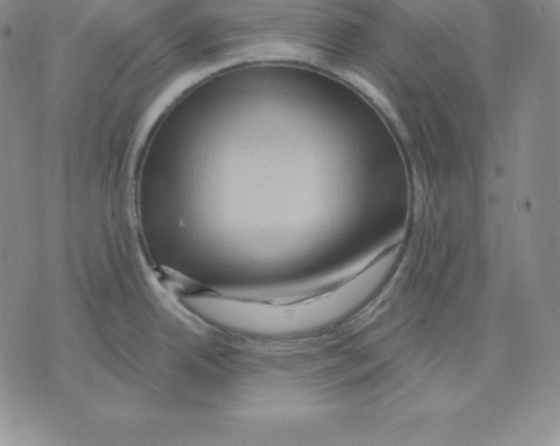 X0000075831342200610151510