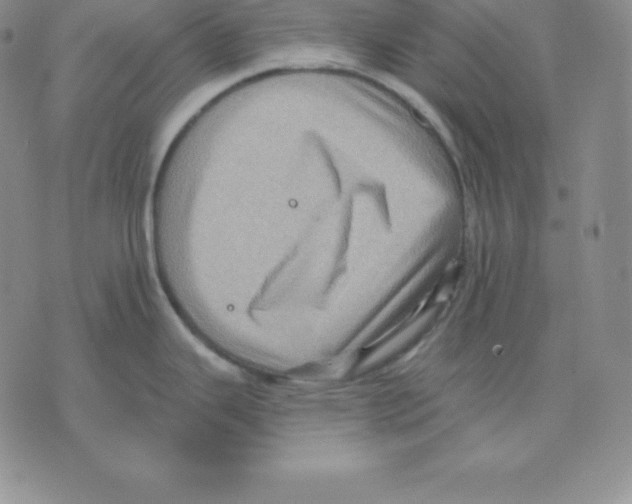 X0000075831343200610151510