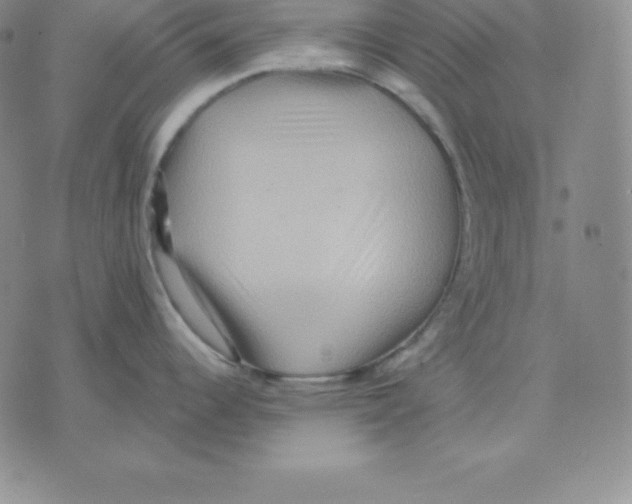 X0000075831344200610151510