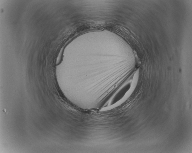 X0000075831345200610151510