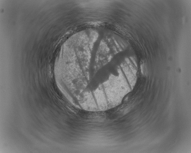 X0000075831347200610151510