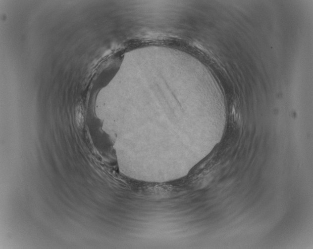 X0000075831348200610151510