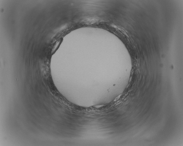 X0000075831349200610151510