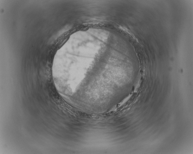 X0000075831350200610151509