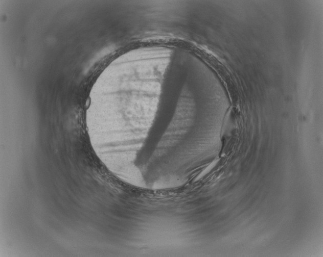 X0000075831351200610151509