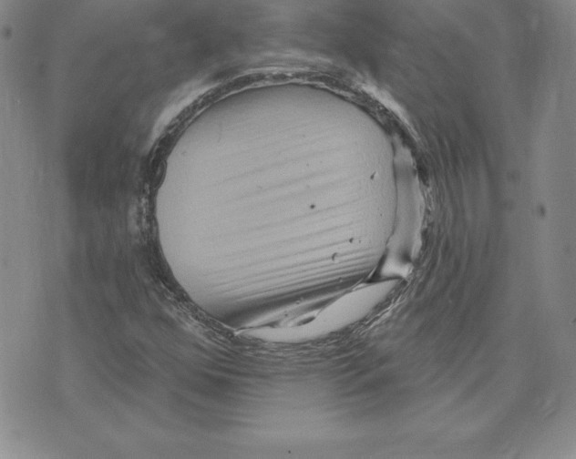 X0000075831352200610151509