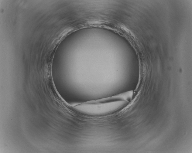 X0000075831353200610151509