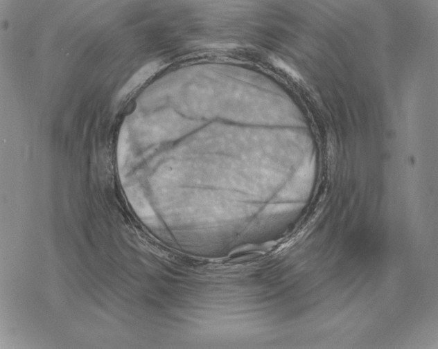 X0000075831354200610151509